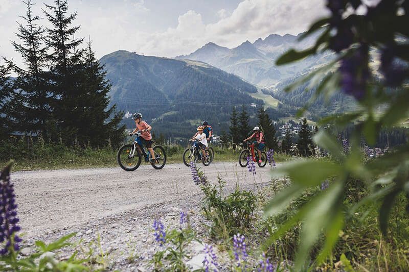Mountain biking on the Sattelkopf in summer